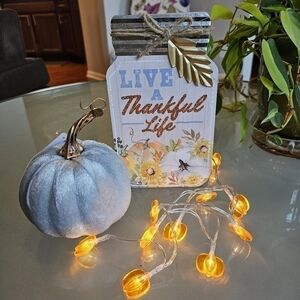 FALL HARVEST LIVE A THANKFUL LIFE TABLE DECOR W/ LIGHTS & VELVET PUMPKIN